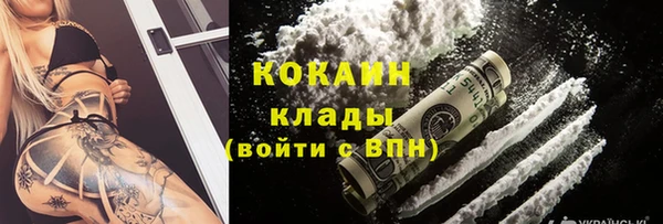 молекула духа Бронницы