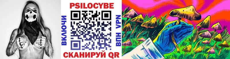 гидра вход  Новохопёрск  Псилоцибиновые грибы мицелий 