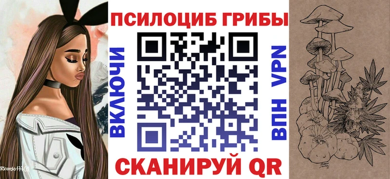Псилоцибиновые грибы Cubensis Новохопёрск